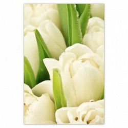 Plakat 62x93 Delikatne...