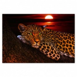 Plakat 200x135cm Lampart...