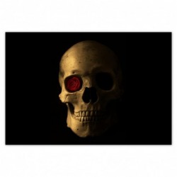 Plakat 200x135cm Czaszka z...