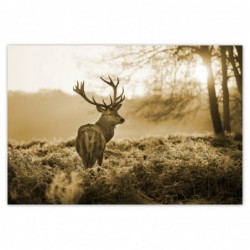 Plakat 200x135cm Jeleń w lesie