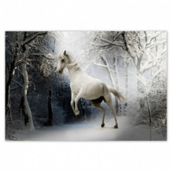 Plakat 155x105cm Biały rumak