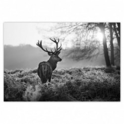 Plakat 155x105cm...