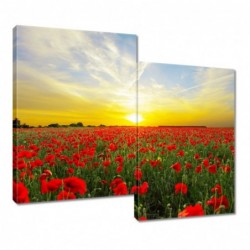 Obraz 80x70cm Pole maków z...