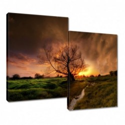 Obraz 80x70cm Dąb w...