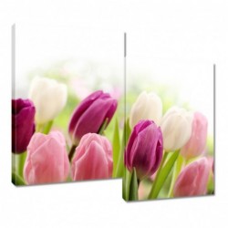 Obraz 80x70cm Piękne tulipany