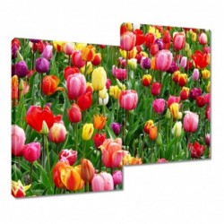 Obraz 80x70cm Kolorowe...