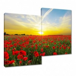 Obraz 80x70cm Pole maków z...