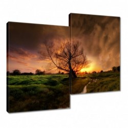 Obraz 80x70cm Dąb w...