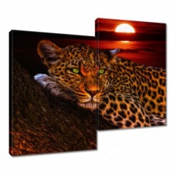 Obraz 80x70cm Lampart pantera