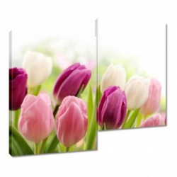 Obraz 80x70cm Piękne tulipany