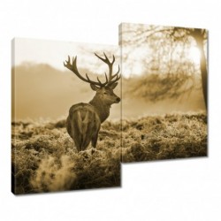 Obraz 80x70cm Jeleń w lesie
