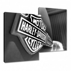 Obraz 80x70cm Logo Harley...