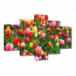 Obraz 150x105cm Kolorowe...