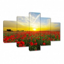 Obraz 150x105cm Pole maków...
