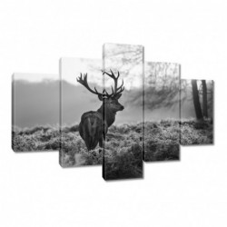 Obraz 150x105cm...