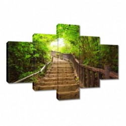 Obraz 100x70cm Schody do lasu