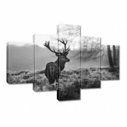 Obraz 100x70cm Czarno-biały...