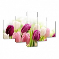 Obraz 100x70cm Piękne tulipany