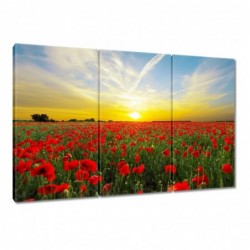 Obraz 120x80cm Pole maków z...