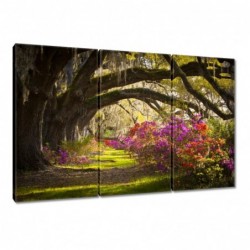 Obraz 120x80cm Kwiaty w parku