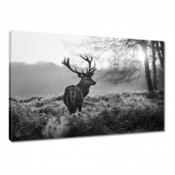 Obraz 60x40cm Czarno-biały...