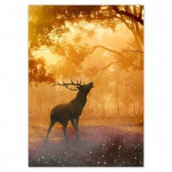 Plakat 50x70cm Jeleń w lesie