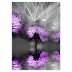 Plakat 50x70cm Odbicie w...