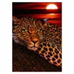 Plakat 50x70cm Lampart pantera