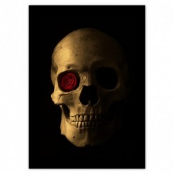 Plakat 50x70cm Czaszka z różą