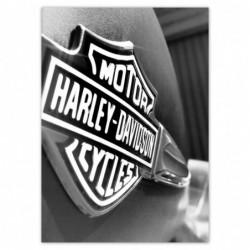 Plakat 50x70cm Logo Harley...