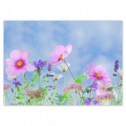 Plakat 70x50cm Delikatne...