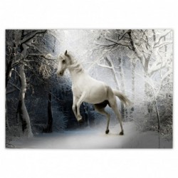 Plakat 70x50cm Biały rumak
