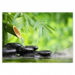 Plakat 70x50cm Sanus per...