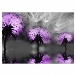 Plakat 70x50cm Odbicie w...