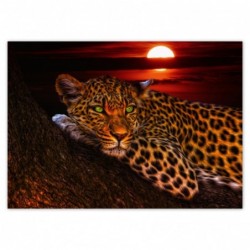 Plakat 70x50cm Lampart pantera