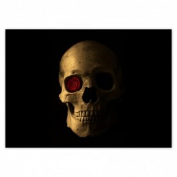 Plakat 70x50cm Czaszka z różą