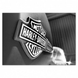 Plakat 70x50cm Logo Harley...