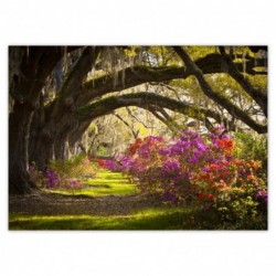 Plakat 70x50cm Kwiaty w parku