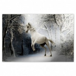 Plakat 120x80cm Biały rumak