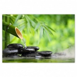 Plakat 120x80cm Sanus per...