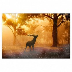 Plakat 120x80cm Jeleń w lesie