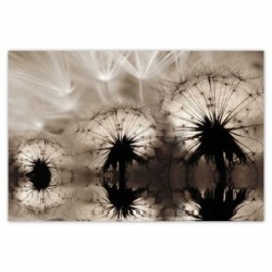 Plakat 120x80cm Dmuchawce...