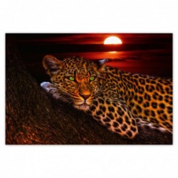 Plakat 120x80cm Lampart...
