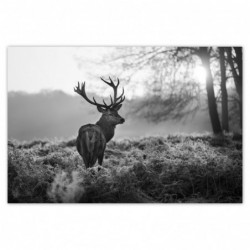 Plakat 120x80cm...