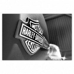 Plakat 120x80cm Logo Harley...