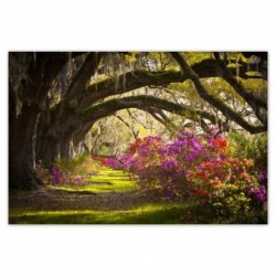 Plakat 120x80cm Kwiaty w parku