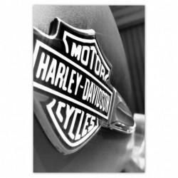 Plakat 80x120cm Logo Harley...