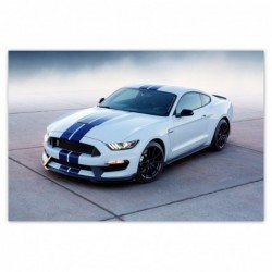 Plakat 93x62cm Ford Mustang...