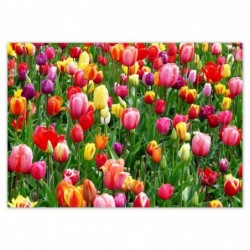 Plakat 100x70 Kolorowe...