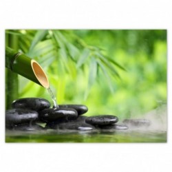 Plakat 100x70 Sanus per...
